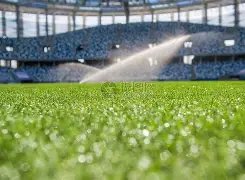 约罗卡灵顿,复训成效显,森林队之战,金年会,金年会体育,JinNianHui,金年会体育官网