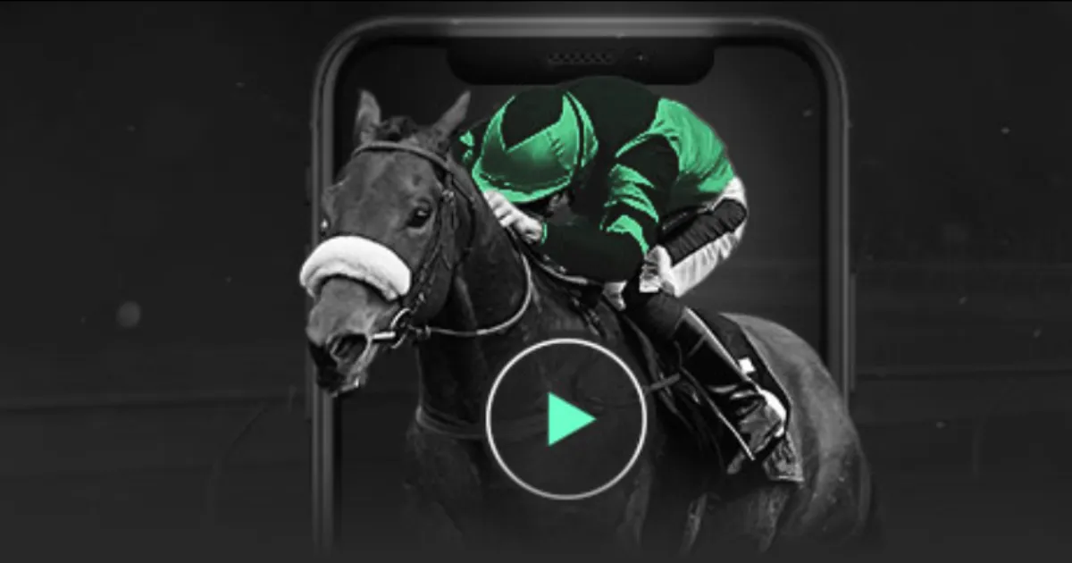 大乐透期号,专家质合分,老鹰对尼克,金年会,金年会体育,JinNianHui,金年会体育官网