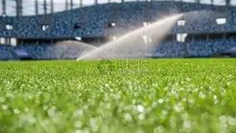 “约罗卡灵顿复训成效显著，森林队之战有望重返赛场”