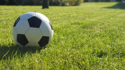 4月23日CBA季后赛：深圳对阵辽宁 沈梓捷亮点集锦